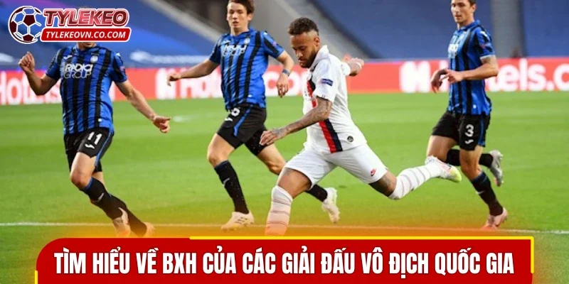 Tìm hiểu về bảng xếp hạng của các giải đấu vô địch quốc gia