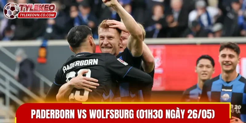 Die Wolfe được đánh giá cao hơn trong cuộc so tài Paderborn vs Wolfsburg